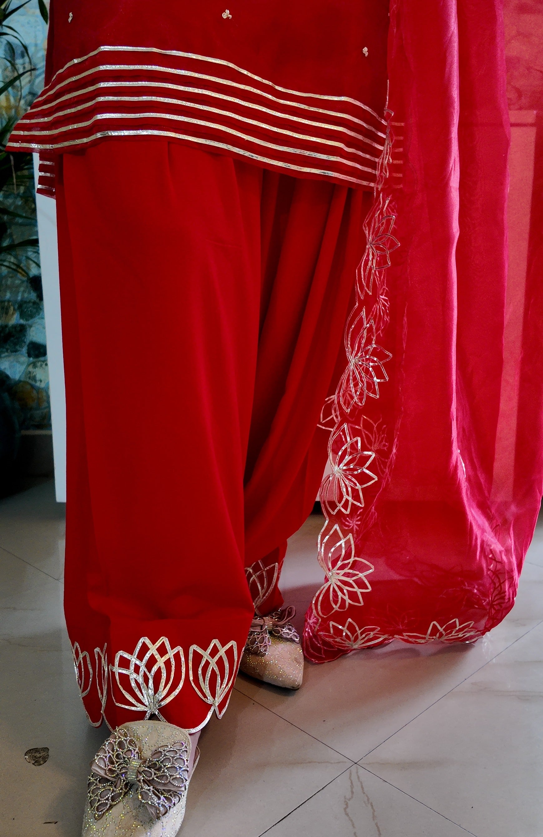 Red Organza Handwork Farshi Salwar