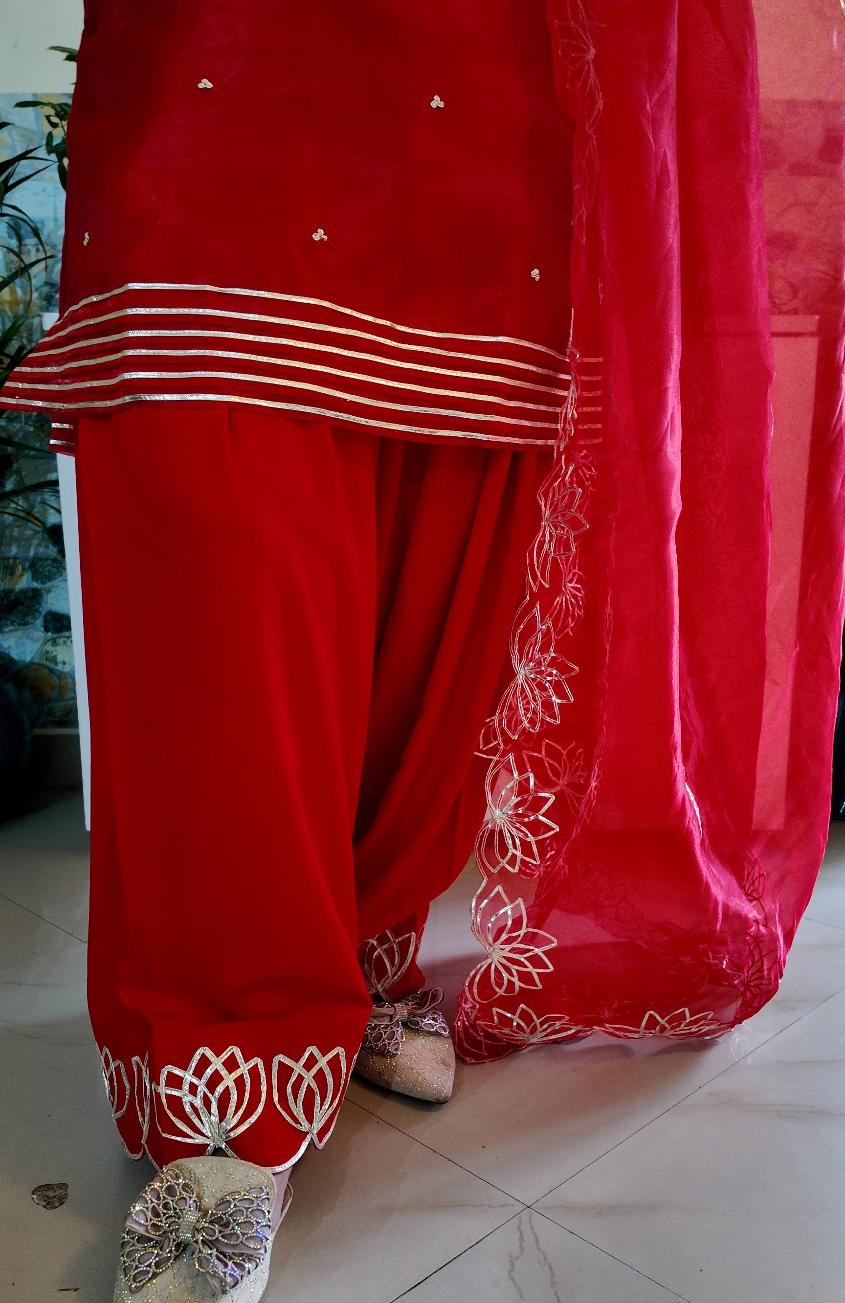 Red Organza Handwork Farshi Salwar
