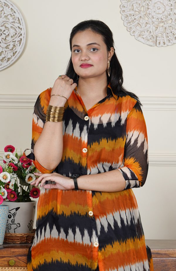 Rust Horizon Ikat Printed Chiffon Co-ord Set - Image 5
