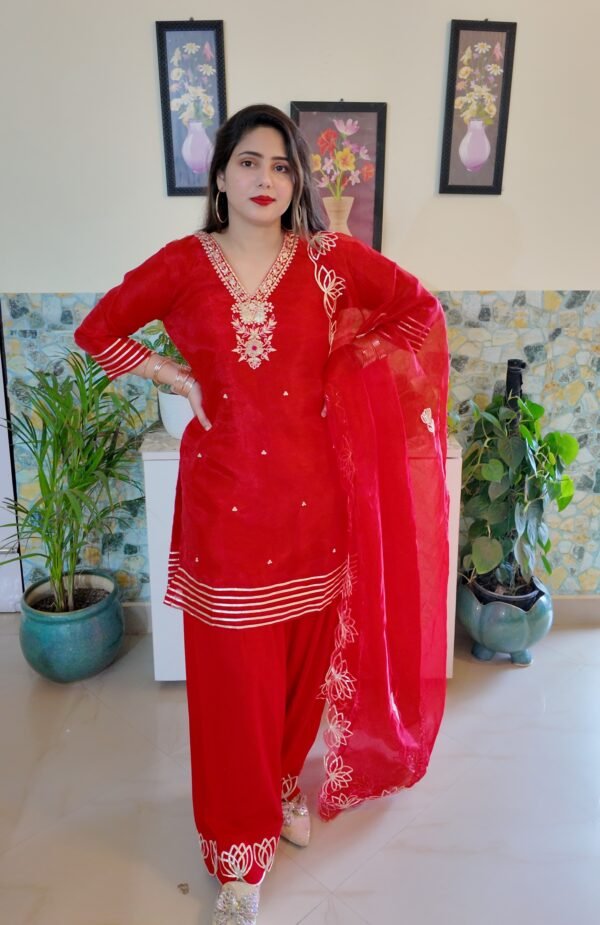 Red Organza Handwork Farshi Salwar - Image 4