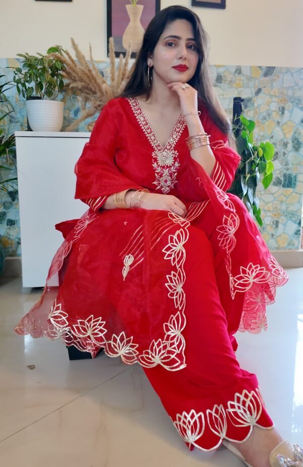 Red Organza Handwork Farshi Salwar